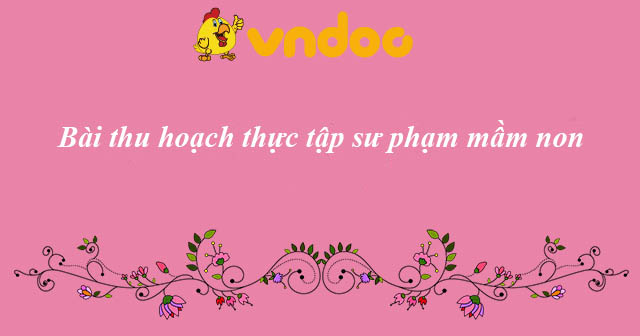 bai-thu-hoach-thuc-tap-su-pham-mam-non