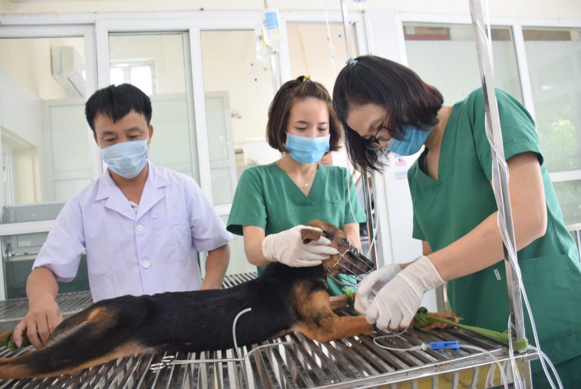 THÔNG TIN TUYỂN SINH CITC