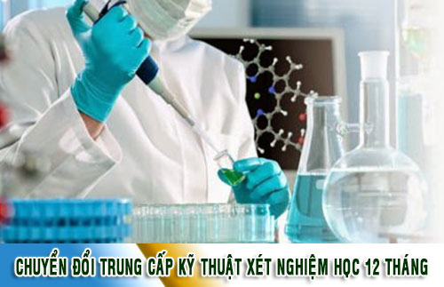 Khóa học chuyển đổi xét nghiệm