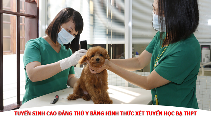 Tuyển sinh cao đẳng thú y