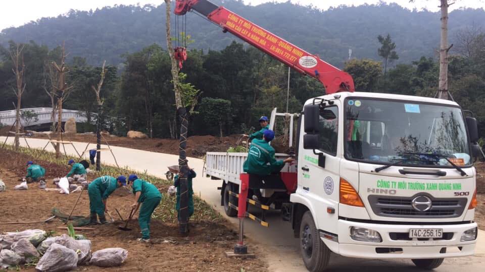 Chứng chỉ Chứng chỉ vận hành xe cẩu
