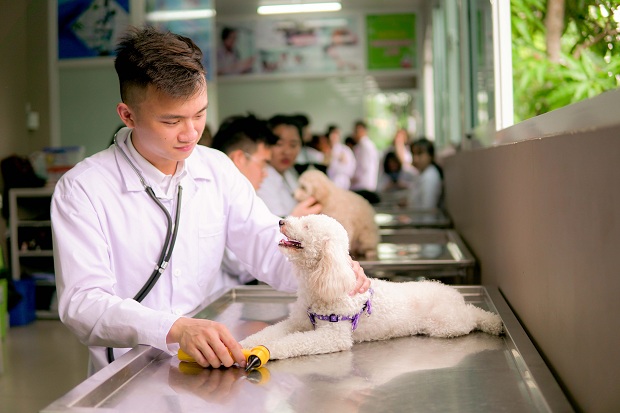 Vì sao nên đăng ký xét tuyển trung cấp thú y tại Tây Ninh
