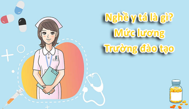 Danh Sách Trường Đào Tạo Y Dược Tại Long An Nơi Ươm Mầm Tài Năng Y Khoa