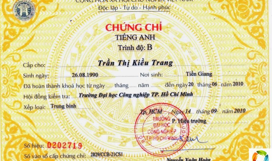 Thi Chứng Chỉ Tiếng Anh Tại An Giang Mở Ra Cơ Hội Thành Công