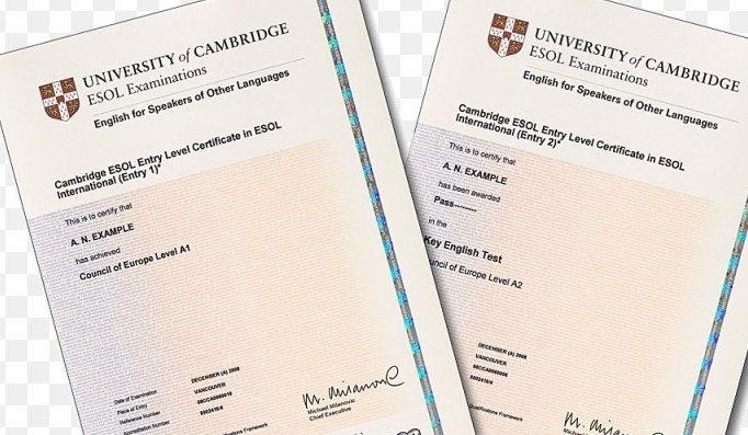 Luyện Thi Chứng Chỉ Tiếng Anh A2, B1, B2 Khung Châu Âu Tại Gia Lai Mở Ra Cơ Hội Thành Công