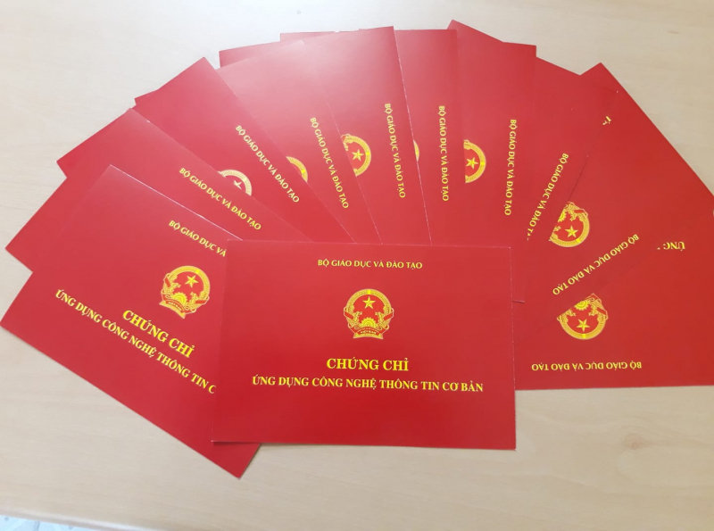 Thi Chứng Chỉ Tin Học Tại Bạc Liêu Hiện Trạng, Cơ Hội Và Xu Hướng Phát Triển