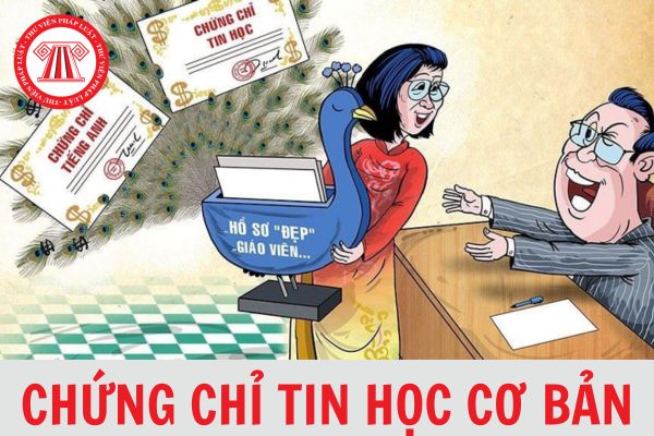 Thi Chứng Chỉ Tin Học Tại Bình Thuận Nâng Tầm Cơ Hội Nghề Nghiệp