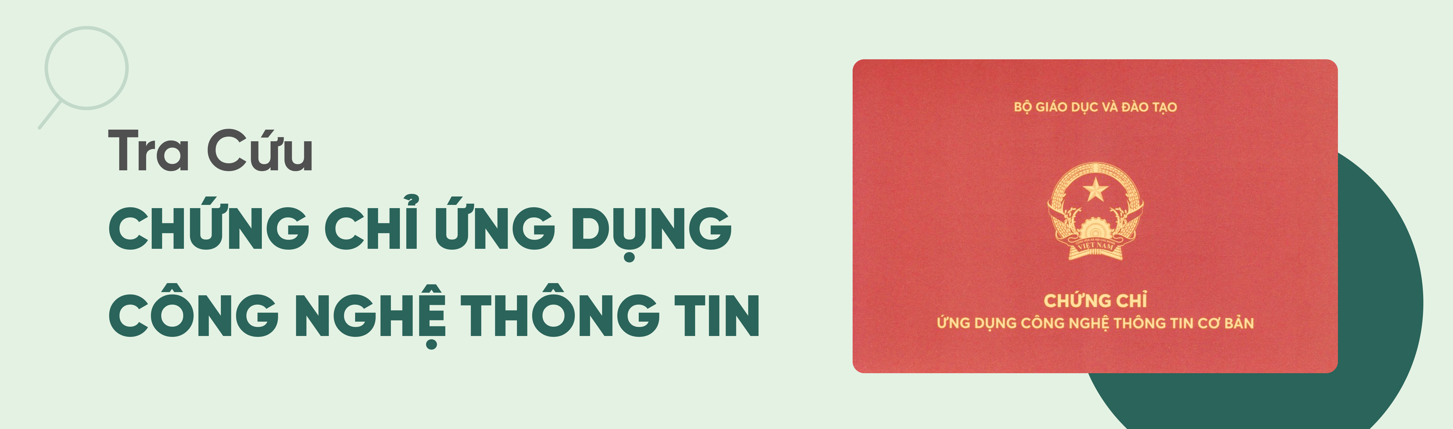 Thi Chứng Chỉ Tin Học Tại Bình Thuận Nâng Tầm Cơ Hội Nghề Nghiệp