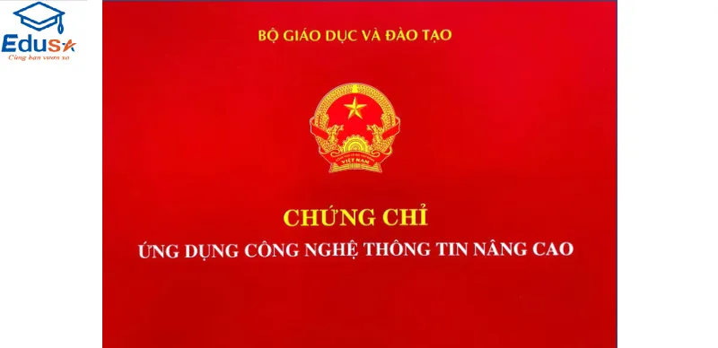 Thi Chứng Chỉ Tin Học Tại Bình Thuận Nâng Tầm Cơ Hội Nghề Nghiệp