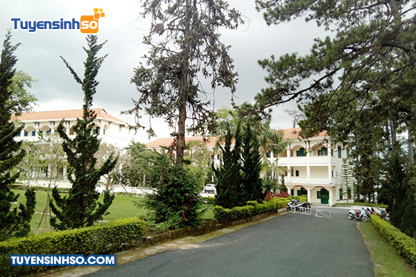 Đăng ký xét tuyển online trung cấp ô tô Đà Lạt - Cơ hội nghề nghiệp hấp dẫn tại phố núi