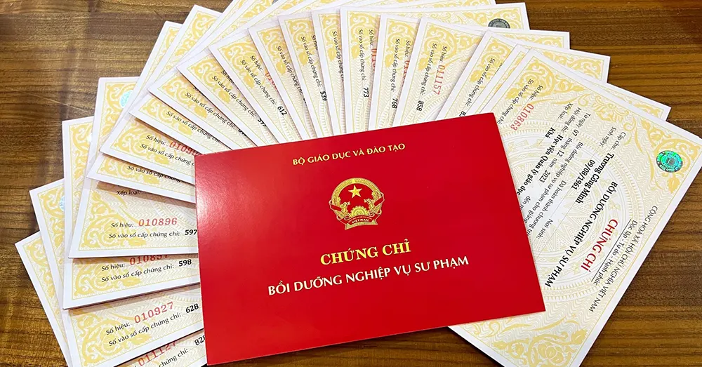 Học  thi cấp chứng chỉ nghiệp vụ sư phạm mầm non online 12/2025