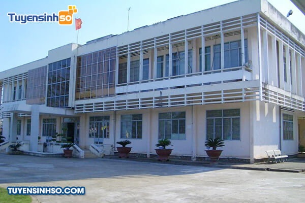 Thông tin tuyển sinh trường Cao đẳng Sư phạm Long An