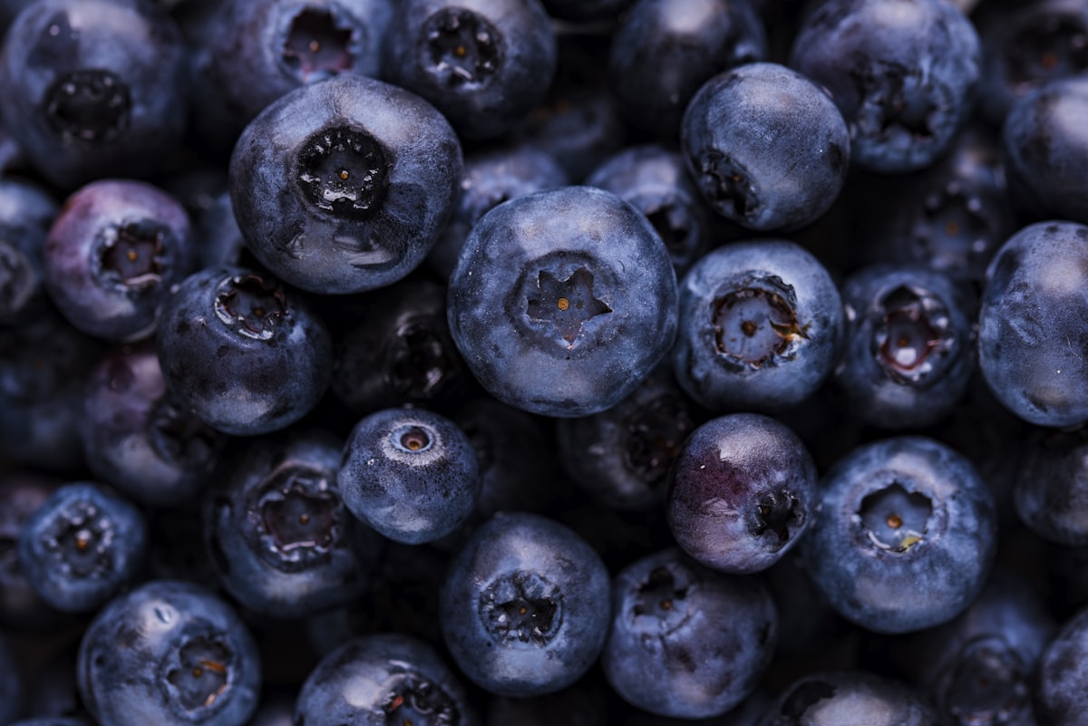 Lớp Chứng chỉ Bán thuốc Bảo vệ thực vật - Cà Mau