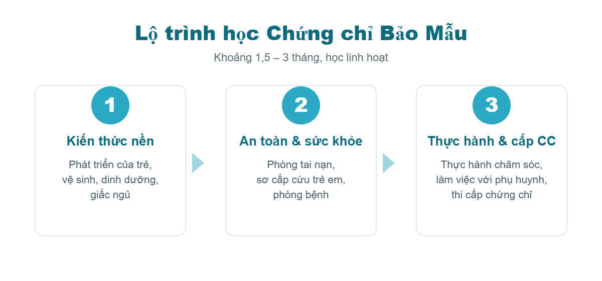 Lộ trình học Chứng chỉ Bảo Mẫu trong 1,5 đến 3 tháng