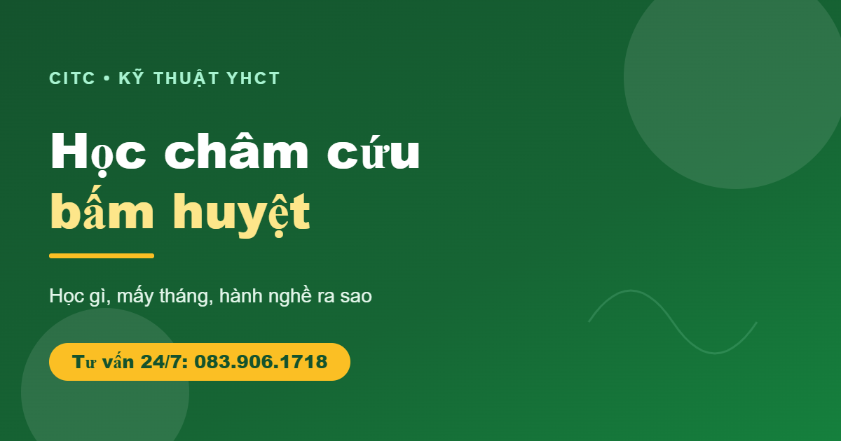 Học châm cứu bấm huyệt học gì hành nghề