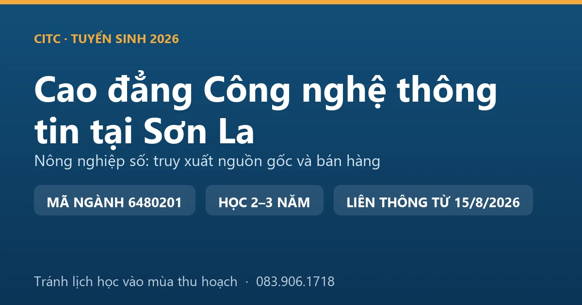Nhân viên hợp tác xã quét mã truy xuất nguồn gốc lô nông sản trước khi đóng thùng tại Sơn La
