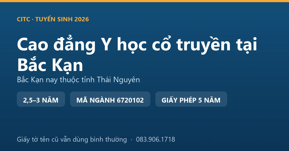 Người Dao thu hái cây thuốc dưới tán rừng tại một xã vùng cao thuộc địa bàn Bắc Kạn cũ
