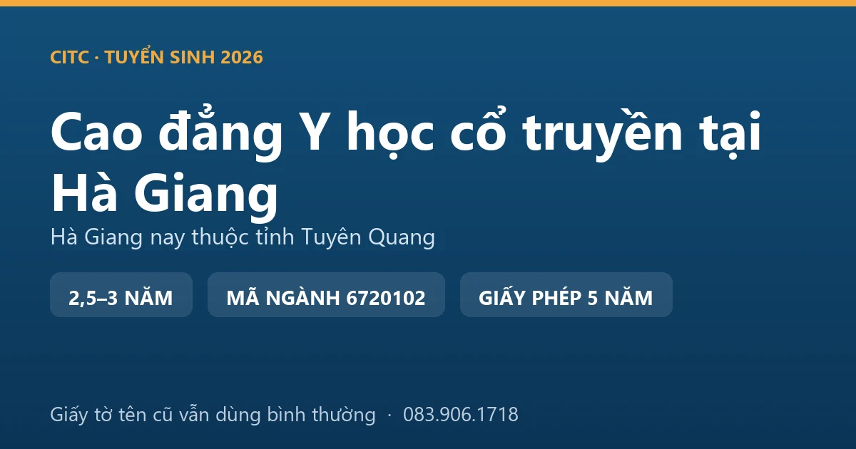 Xã viên hợp tác xã chăm sóc vườn atiso tại vùng dược liệu Quản Bạ trên địa bàn Hà Giang cũ