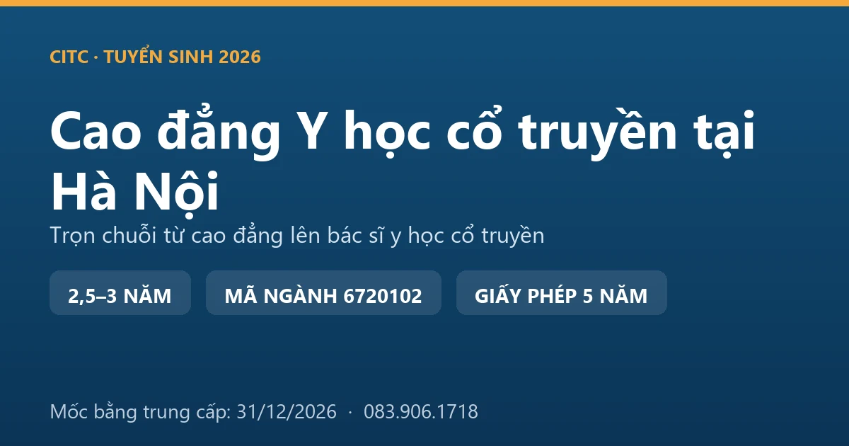 Sinh viên cao đẳng y học cổ truyền thực tập châm cứu dưới hướng dẫn của bác sĩ tại một bệnh viện y học cổ truyền đầu ngành ở Hà Nội