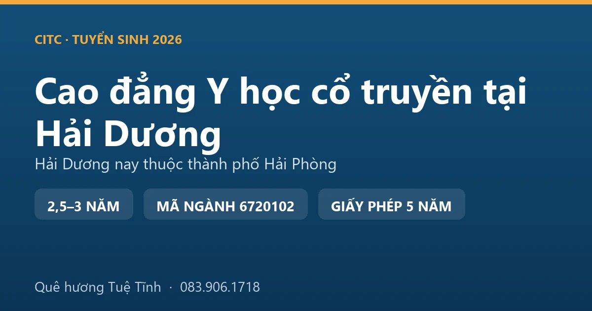 Đền Bia thờ thiền sư Tuệ Tĩnh tại Cẩm Giàng, nơi người học y học cổ truyền địa bàn Hải Dương cũ về dâng hương