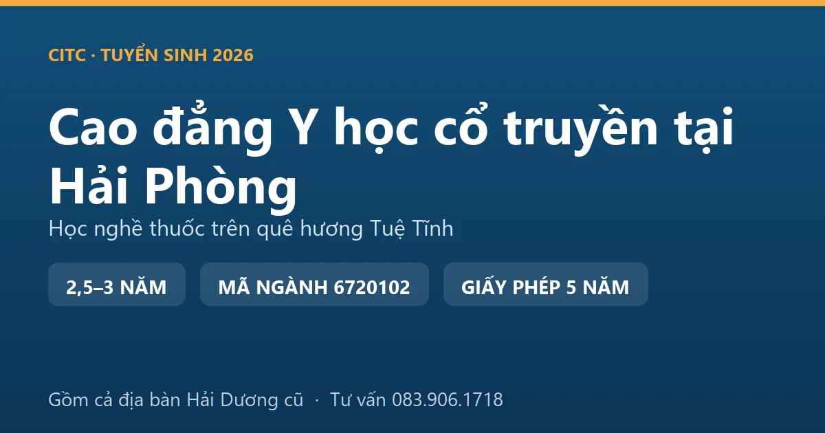Y sĩ y học cổ truyền xoa bóp bấm huyệt vùng vai gáy cho người dân tại một phòng chẩn trị ở Hải Phòng, quê hương thiền sư Tuệ Tĩnh