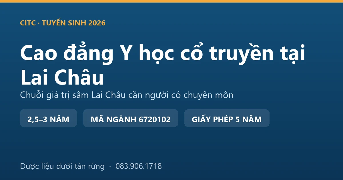 Người trồng sâm Lai Châu kiểm tra luống sâm dưới tán rừng ở một xã vùng cao của tỉnh