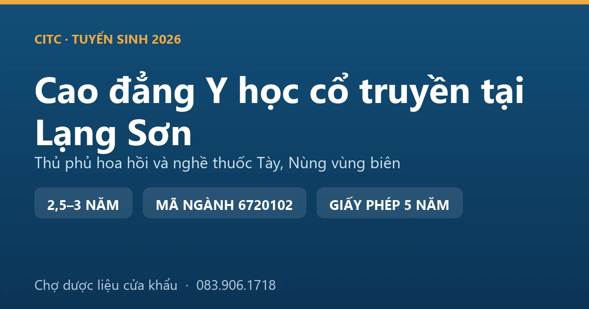 Người bán hàng giới thiệu hoa hồi khô và các vị dược liệu tại một quầy thuốc bắc gần chợ Kỳ Lừa, Lạng Sơn
