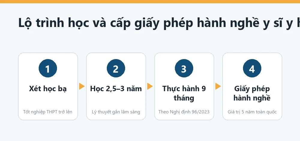 Sơ đồ các bước học cao đẳng y học cổ truyền tại Lạng Sơn từ nộp hồ sơ xét học bạ tới khi được cấp giấy phép hành nghề y sĩ