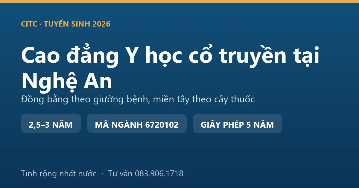 Y sĩ y học cổ truyền kiểm tra mẻ dược liệu phơi khô tại một xã miền tây Nghệ An trước khi đưa vào bào chế