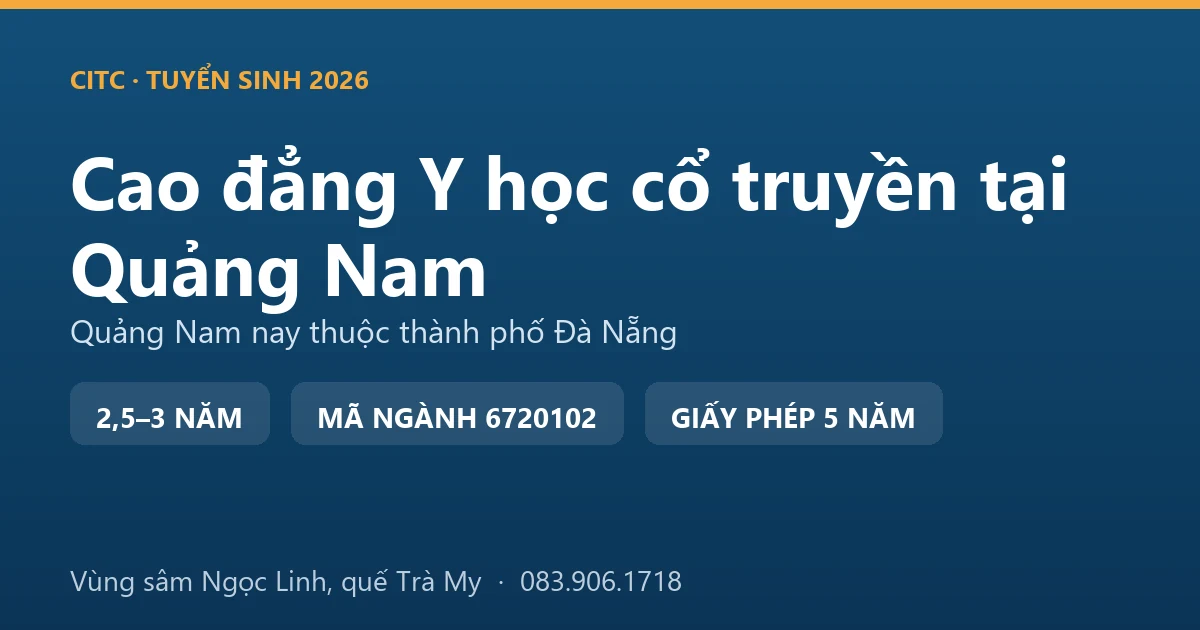 Người dân thu hoạch quế Trà My trên vùng đồi thuộc địa bàn Quảng Nam cũ, nguồn dược liệu của nghề y học cổ truyền