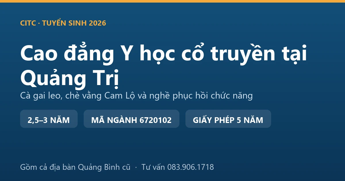 Nông dân Cam Lộ, Quảng Trị thu hoạch cà gai leo trên vùng gò đồi, nguyên liệu của chuỗi dược liệu miền Trung