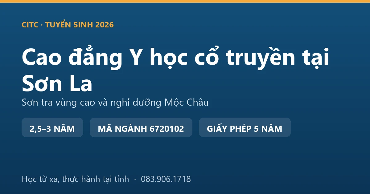 Người Mông thu hái quả sơn tra trên sườn núi cao Sơn La, vị thuốc quen thuộc của y học cổ truyền vùng cao