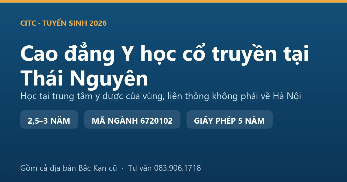 Sinh viên cao đẳng y học cổ truyền tập nhận biết vị thuốc trong phòng thực hành dược liệu tại thành phố Thái Nguyên