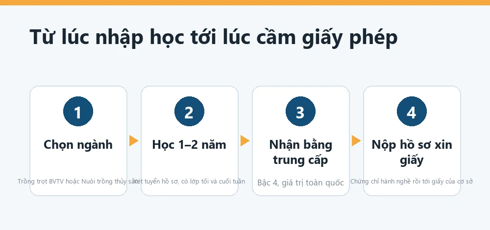 Sơ đồ bốn bước từ lúc nhập học trung cấp tới lúc cầm giấy chứng nhận đủ điều kiện buôn bán tại Trà Vinh
