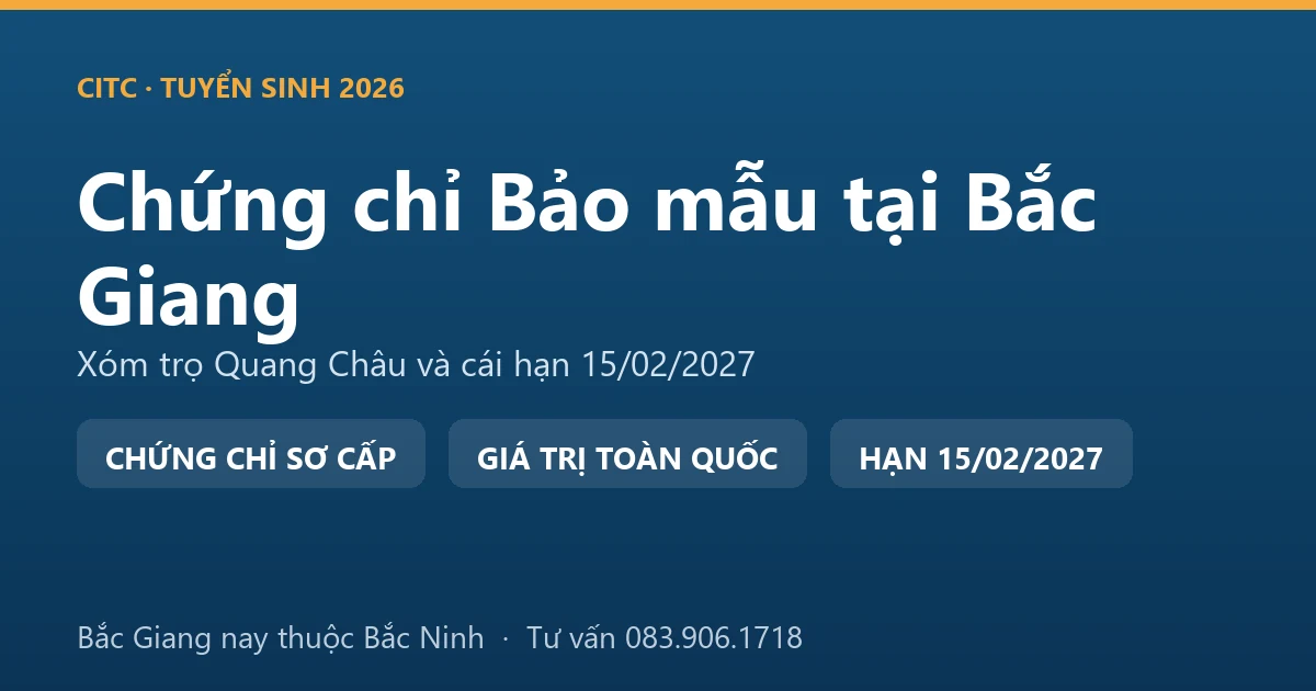 Lớp học chứng chỉ bảo mẫu cho người tại Bắc Giang, học viên thực hành chăm sóc trẻ trong cơ sở giáo dục mầm non