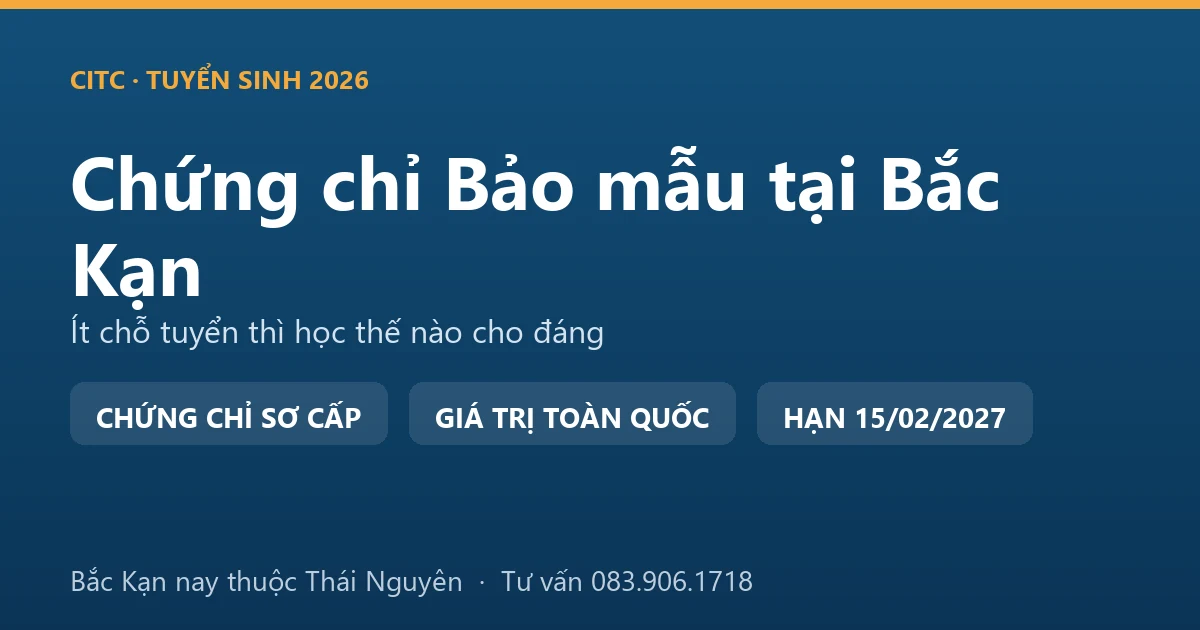 Lớp học chứng chỉ bảo mẫu cho người tại Bắc Kạn, học viên thực hành chăm sóc trẻ trong cơ sở giáo dục mầm non