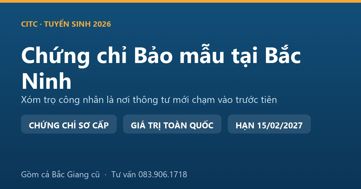 Lớp học chứng chỉ bảo mẫu cho người tại Bắc Ninh, học viên thực hành chăm sóc trẻ trong cơ sở giáo dục mầm non