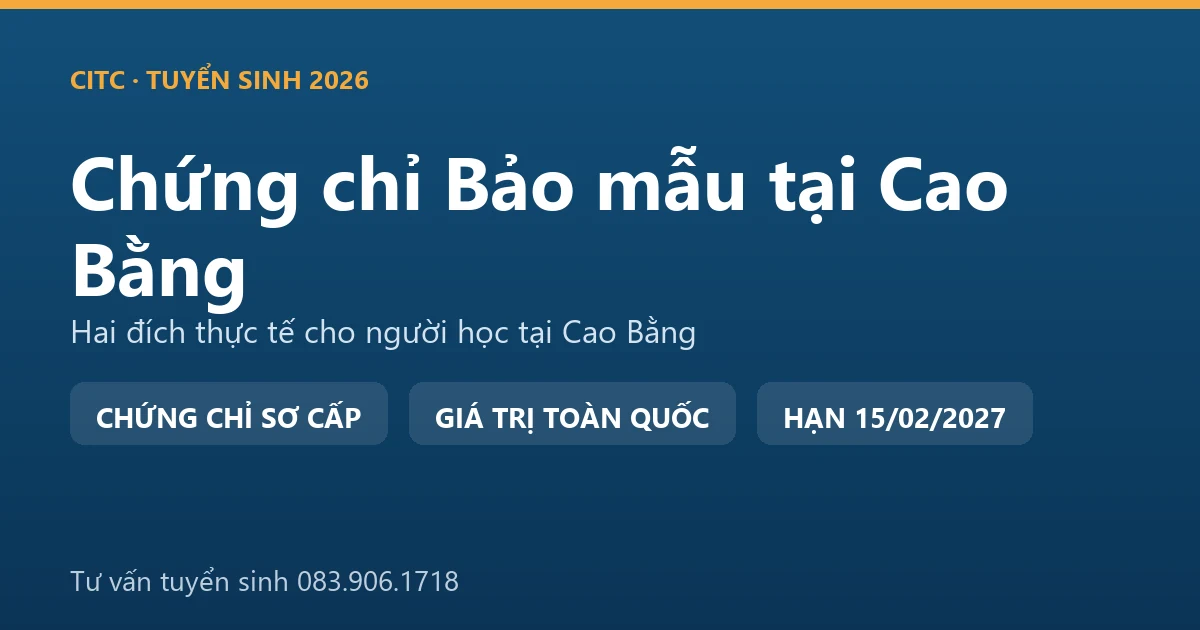 Lớp học chứng chỉ bảo mẫu cho người tại Cao Bằng, học viên thực hành chăm sóc trẻ trong cơ sở giáo dục mầm non