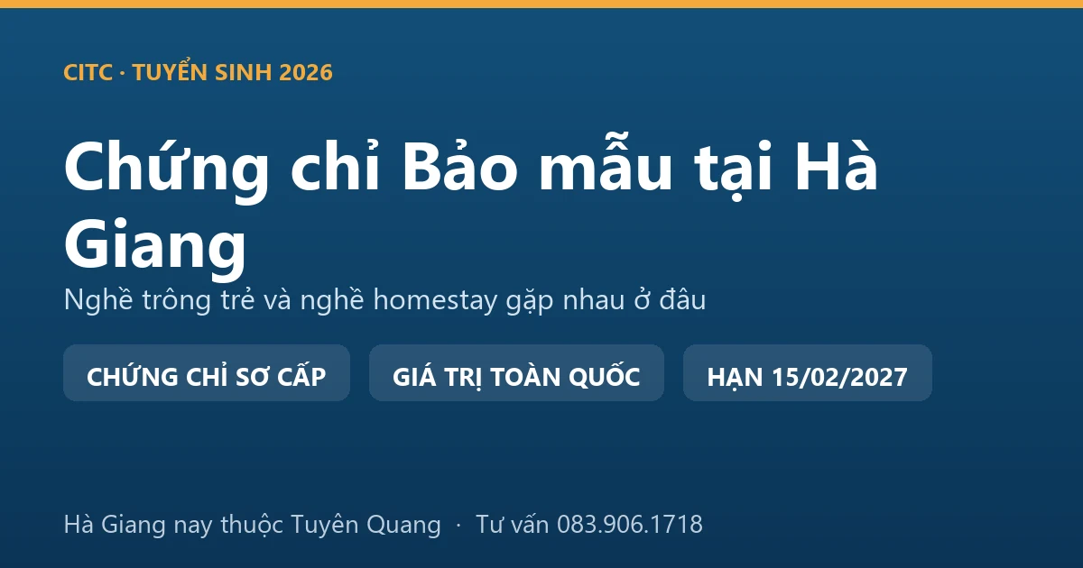 Lớp học chứng chỉ bảo mẫu cho người tại Hà Giang, học viên thực hành chăm sóc trẻ trong cơ sở giáo dục mầm non