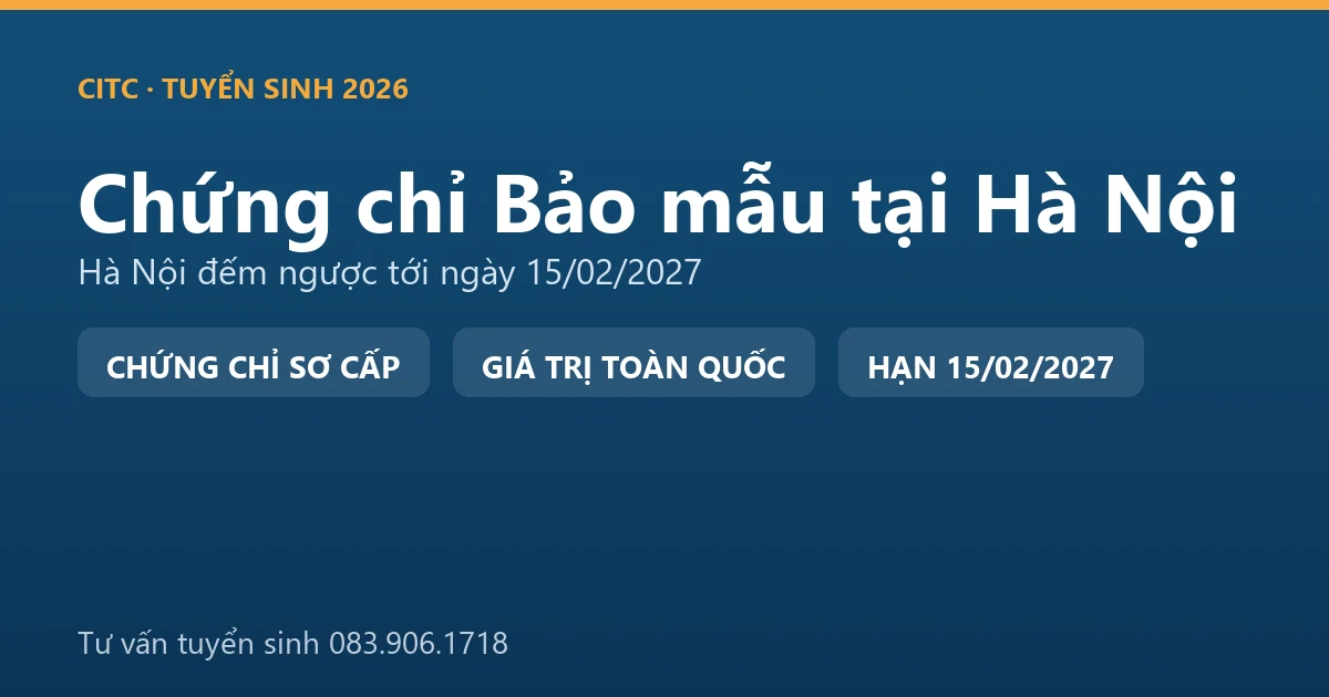Lớp học chứng chỉ bảo mẫu cho người tại Hà Nội, học viên thực hành chăm sóc trẻ trong cơ sở giáo dục mầm non