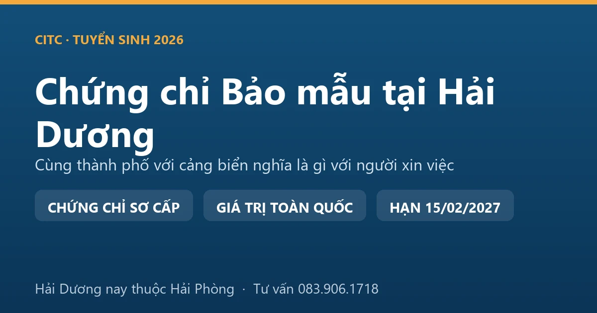 Lớp học chứng chỉ bảo mẫu cho người tại Hải Dương, học viên thực hành chăm sóc trẻ trong cơ sở giáo dục mầm non