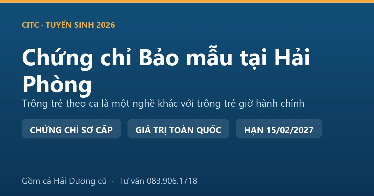 Lớp học chứng chỉ bảo mẫu cho người tại Hải Phòng, học viên thực hành chăm sóc trẻ trong cơ sở giáo dục mầm non
