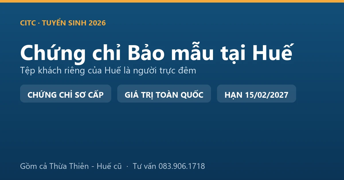 Lớp học chứng chỉ bảo mẫu cho người tại Huế, học viên thực hành chăm sóc trẻ trong cơ sở giáo dục mầm non