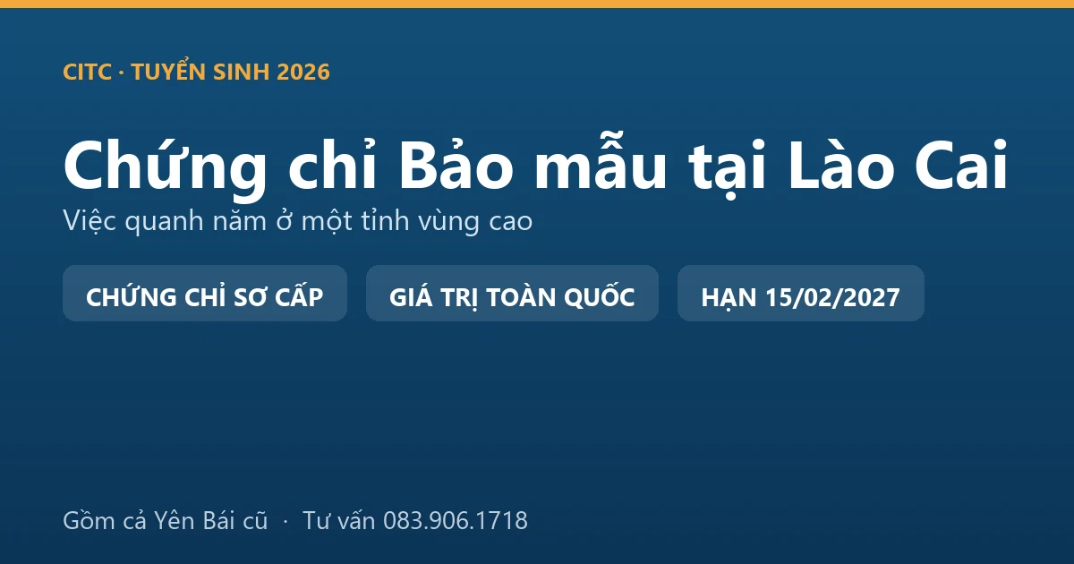 Lớp học chứng chỉ bảo mẫu cho người tại Lào Cai, học viên thực hành chăm sóc trẻ trong cơ sở giáo dục mầm non