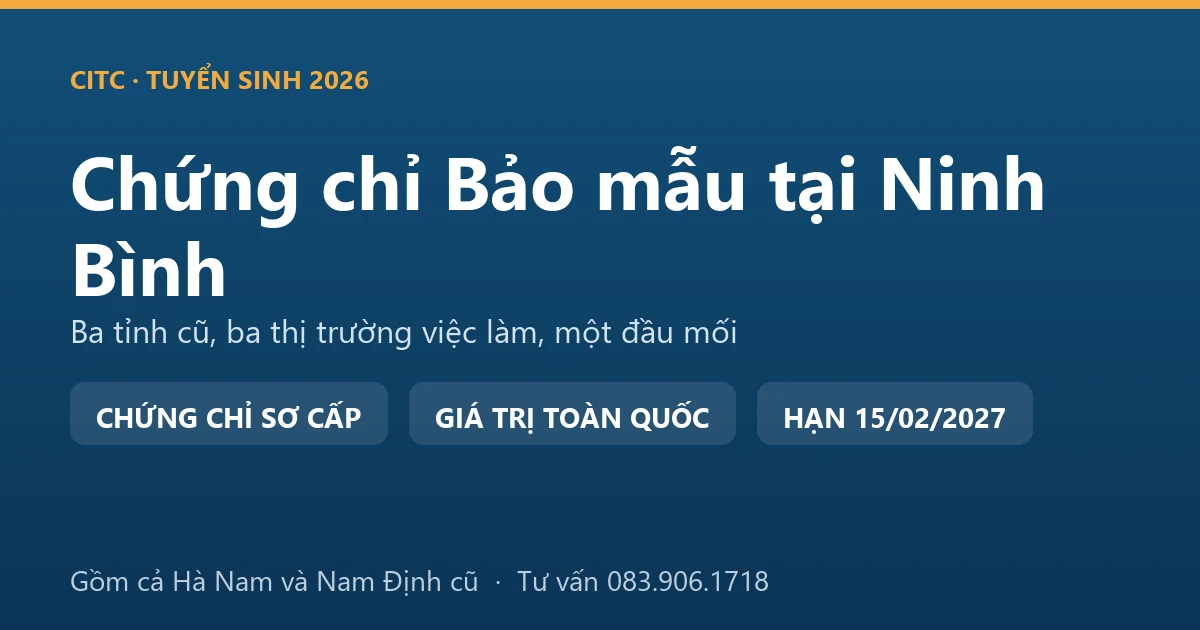 Lớp học chứng chỉ bảo mẫu cho người tại Ninh Bình, học viên thực hành chăm sóc trẻ trong cơ sở giáo dục mầm non
