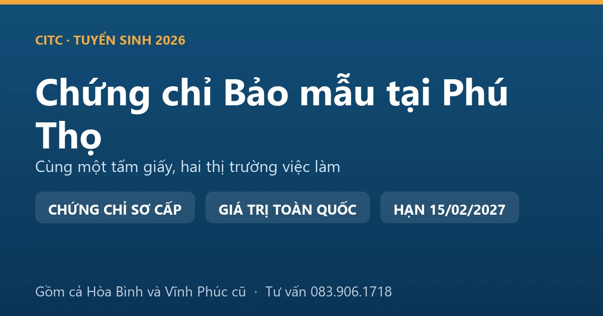 Lớp học chứng chỉ bảo mẫu cho người tại Phú Thọ, học viên thực hành chăm sóc trẻ trong cơ sở giáo dục mầm non