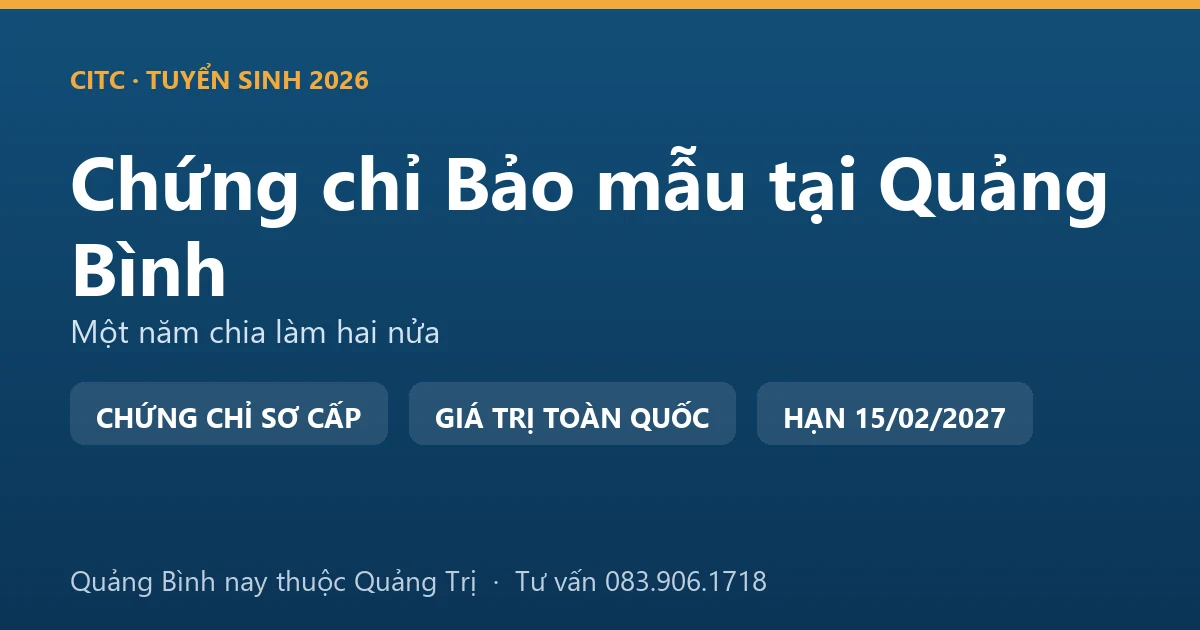 Lớp học chứng chỉ bảo mẫu cho người tại Quảng Bình, học viên thực hành chăm sóc trẻ trong cơ sở giáo dục mầm non