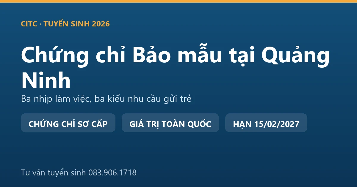 Lớp học chứng chỉ bảo mẫu cho người tại Quảng Ninh, học viên thực hành chăm sóc trẻ trong cơ sở giáo dục mầm non