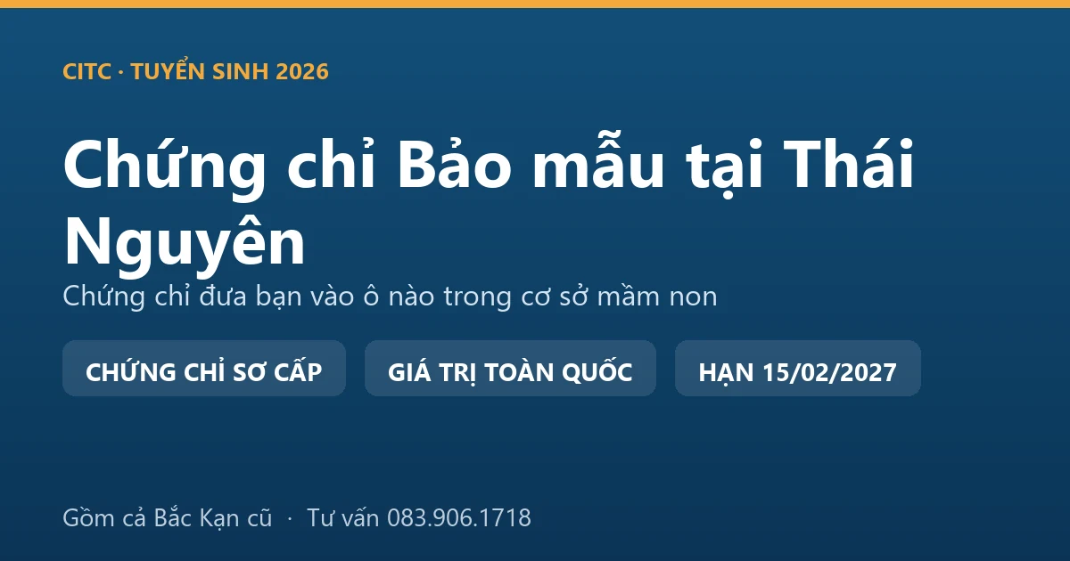 Lớp học chứng chỉ bảo mẫu cho người tại Thái Nguyên, học viên thực hành chăm sóc trẻ trong cơ sở giáo dục mầm non