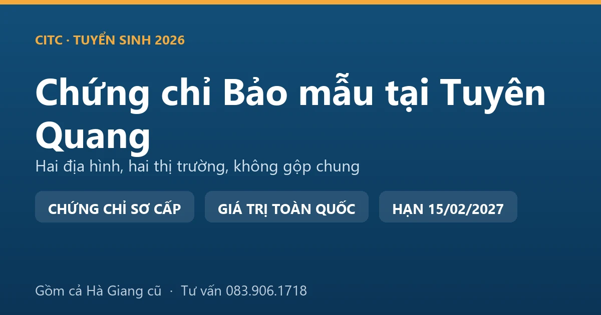 Lớp học chứng chỉ bảo mẫu cho người tại Tuyên Quang, học viên thực hành chăm sóc trẻ trong cơ sở giáo dục mầm non
